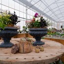 Blue gray gardenの講座の風景