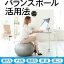 オンラインレッスンOK！バランスボールで代謝アップの講座の風景