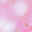 写真学校に負けない「写真の授業」の講座の風景