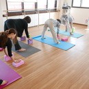 スタジオダンスウェーブの開催する講座の風景