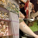 自力で健康に生きるための＊養生と瞑想の教室の講座の風景