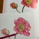 準備も片付けも簡単な色鉛筆でリアルに描いてみようの講座の風景