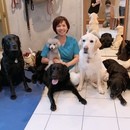 今すぐ始めよう！自宅で学ぶドッグマッサージ講座の講座の風景