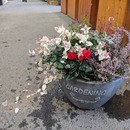 ガーデニング初心者の方を元園芸店スタッフがサポートの講座の風景