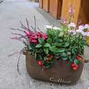 ガーデニング初心者の方を元園芸店スタッフがサポートの講座の風景