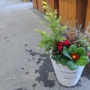 ガーデニング初心者の方を元園芸店スタッフがサポートの講座の風景