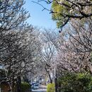 「手ぶらで感動写真レッスン会」の講座の風景