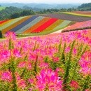 看護師の1人ひとりにあった健康講座の講座の風景