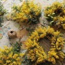 ハーブを通してマインドフルネスを体験するの講座の風景