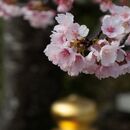 「手ぶらで感動写真レッスン会」の講座の風景