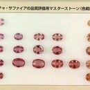 プチ生け花とカラー・宝石講座で暮らしに彩りを❣️の講座の風景