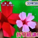 初心者歓迎！個々のレベルに合わせた折り紙教室の講座の風景
