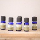 T's garden 恵比寿の講座の風景