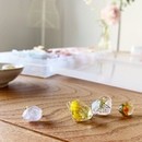 canohaの講座の風景