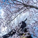 「手ぶらで感動写真レッスン会」の講座の風景