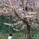 チャクラが整うと元氣になりマインドフルネスに❣️の講座の風景