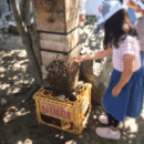 心を整え、自分らしさを取り戻す癒しの講座の講座の風景