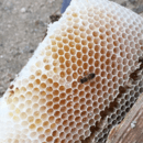 心を整え、自分らしさを取り戻す癒しの講座の講座の風景