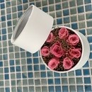 pradoの講座の風景