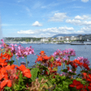 スイス在住Aiコーチのトータルウェルネス大学の講座の風景