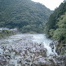 働き方・暮らし方・生き方を考えるコミュニティーの開催する講座の風景