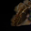 やさしい写真教室の講座の風景