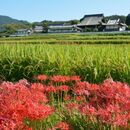 歴史人物ゆかりの地を訪ねるオンラインツアーの講座の風景