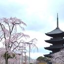 歴史人物ゆかりの地を訪ねるオンラインツアーの講座の風景
