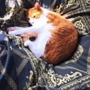 人生の幸せへの分岐点を創る！講座の講座の風景