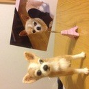 おケイコのカルサロ　スタジオサロンの開催する講座の風景