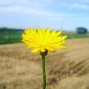 元・家庭教師の伝道師が教えます！笑顔の教室♪の講座の風景