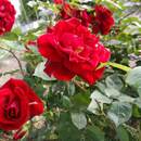 元・家庭教師の伝道師が教えます！笑顔の教室♪の講座の風景