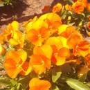 元・家庭教師の伝道師が教えます！笑顔の教室♪の講座の風景