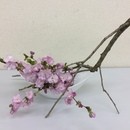 濱口志鳳 花研究所の講座の風景