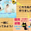 PC苦手な女性起業家ナビゲーター　オンライン整体師の講座の風景