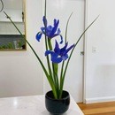 敷居の高さが程よくお財布にやさしいいけばなレッスンの講座の風景