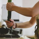 薬膳で心と体を整え、あなたらしい人生を！の講座の風景