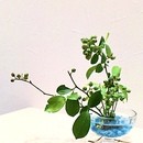 プチ生け花とカラー・宝石講座で暮らしに彩りを❣️の講座の風景