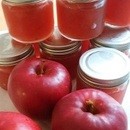 何度も作りたくなる「天然酵母パン」と「発酵食」作りの講座の風景