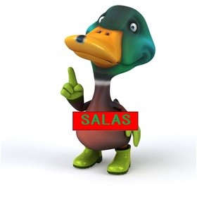 サラスの英語TOEIC講座のプロフィール写真