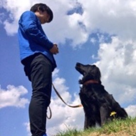 HEALTHY DOGSのプロフィール写真