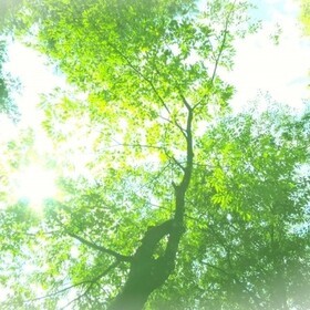 リトリートマインドラボの団体ロゴ