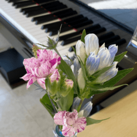 ポコ ア ポコのプロフィール写真