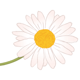 デイジー社会保険労務士法人のプロフィール写真