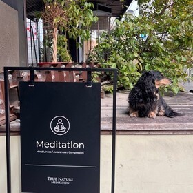 True Nature Meditationのプロフィール写真
