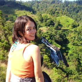 田中 時恵のプロフィール写真