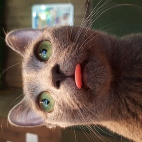 Aya あやのプロフィール写真