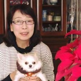 静岡県内の 英語で生け花 生け花写真 をインスタへ By 松下 典子 ストアカ