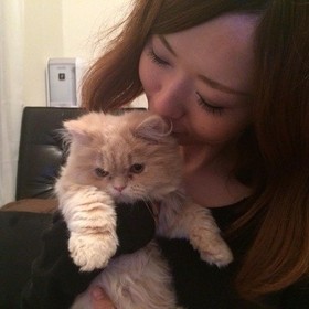 nonko fairy tails （のんこ）のプロフィール写真