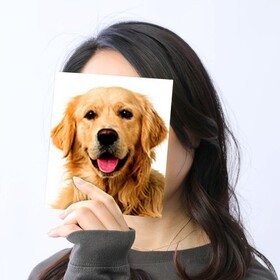 EC人材育成🐶✨上級ウェブ解析士🏅 データ分析 | EC運用 | Webサイト制作のプロフィール写真